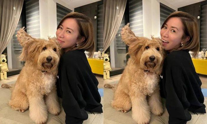 Mỹ nhân Hoa, Hàn 7X-8X: Son Ye Jin tươi rói, Lâm Tâm Như mặn mà-7