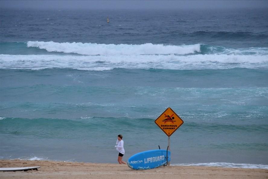 Rùng mình khoảnh khắc cá mập cắn du khách tắm biển làm đôi-1