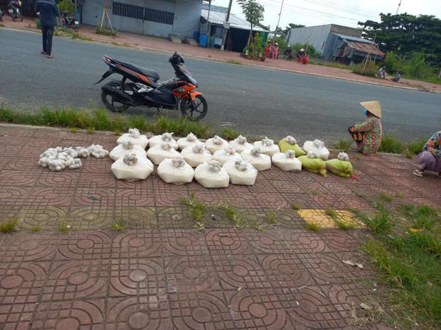 Nữ đại gia Quận 7 phản hồi tin giận chủ nhân đàn chó ở Cà Mau-6