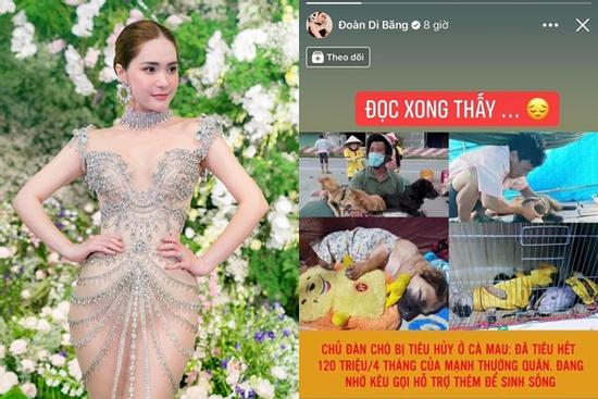 Nữ đại gia Quận 7 phản hồi tin 'giận' chủ nhân đàn chó ở Cà Mau