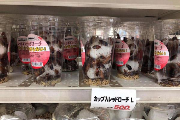 Đã có ai bắt gặp những màn quảng cáo sản phẩm tấu hài thế này?-12