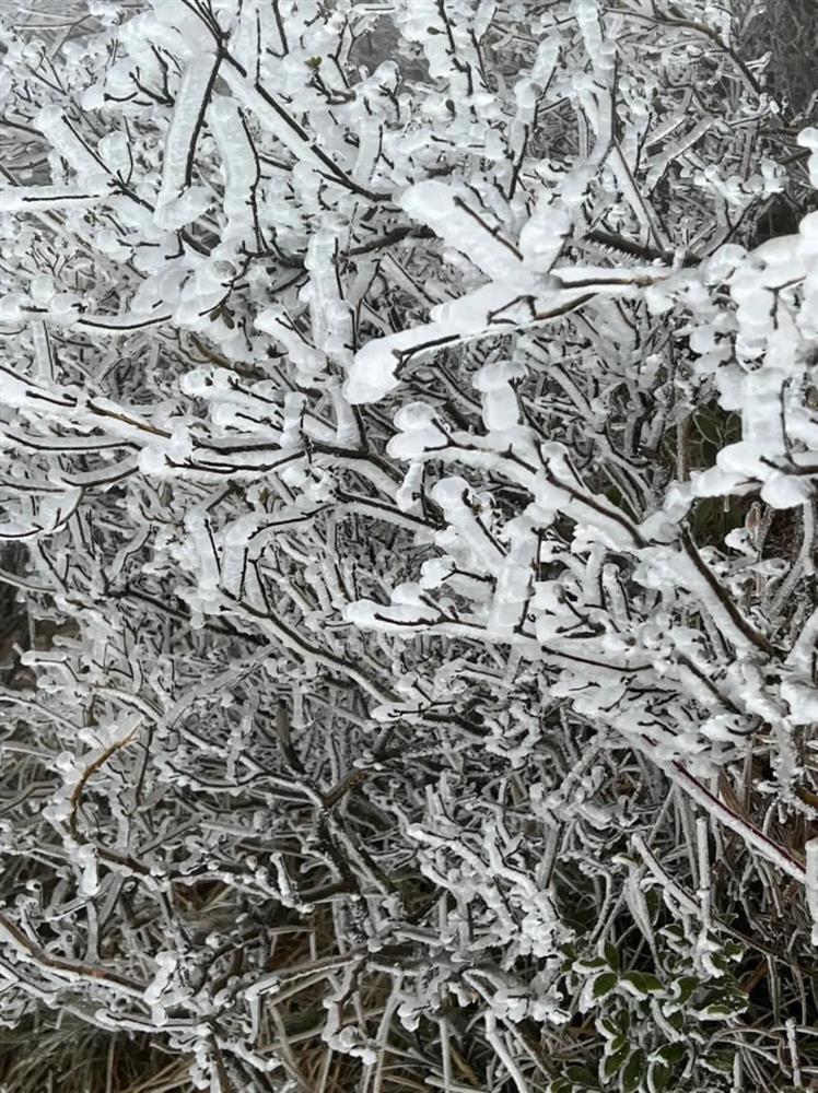 Háo hức lên đồ đi Sapa ngắm tuyết, cô gái hóa đá trong tích tắc-1