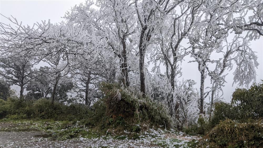 Khắp Tây Bắc phủ băng tuyết khiến dân tình kéo nhau check-in-1