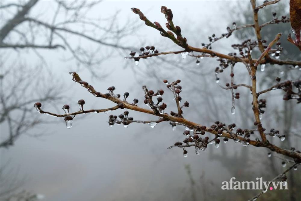 Khắp Tây Bắc phủ băng tuyết khiến dân tình kéo nhau check-in-4