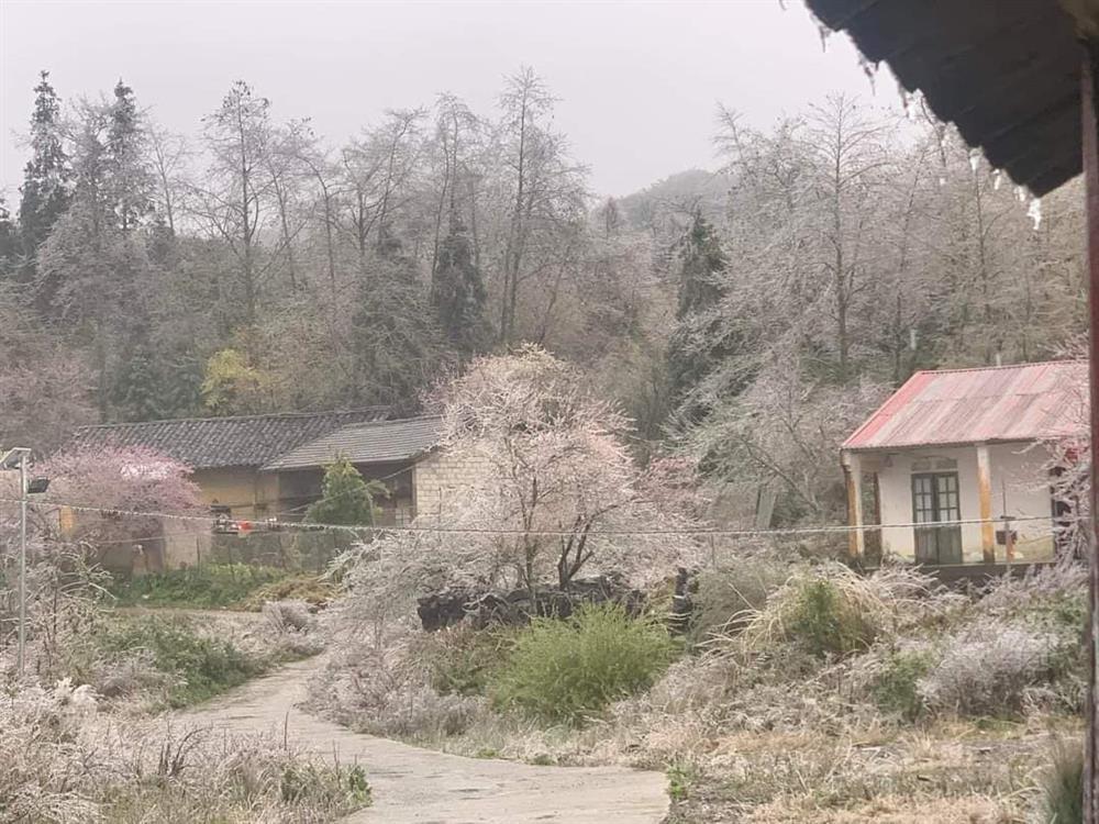 Khắp Tây Bắc phủ băng tuyết khiến dân tình kéo nhau check-in-5