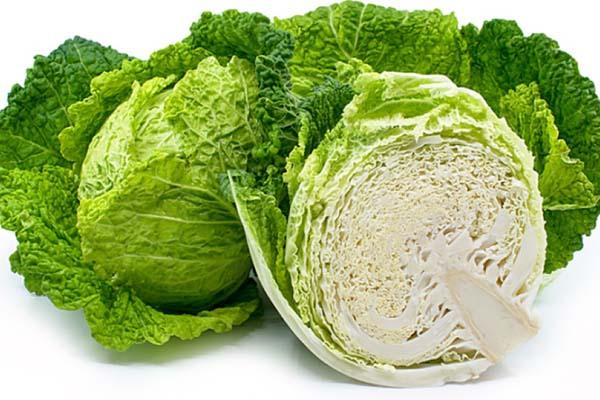 Bị sai đi hái rau dớn, nàng dâu mang về thứ xanh mặt mẹ chồng-3