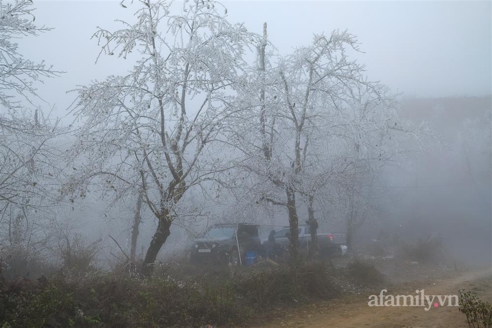 Chạy ô tô vượt hàng trăm cây, cắm trại xuyên đêm canh tuyết ở Y Tý-11