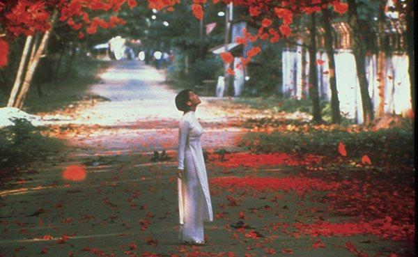 Không riêng Bố Già, nhiều phim Việt cũng được gửi đi dự Oscar-4