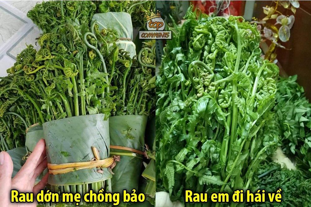 Bị sai đi hái rau dớn, nàng dâu mang về thứ xanh mặt mẹ chồng-1