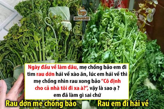 Bị sai đi hái rau dớn, nàng dâu mang về thứ xanh mặt mẹ chồng