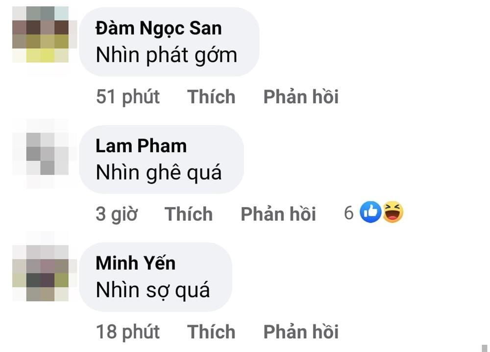 Lệ Quyên chửi sốc khi thú cưng bị chê như quái vật-3