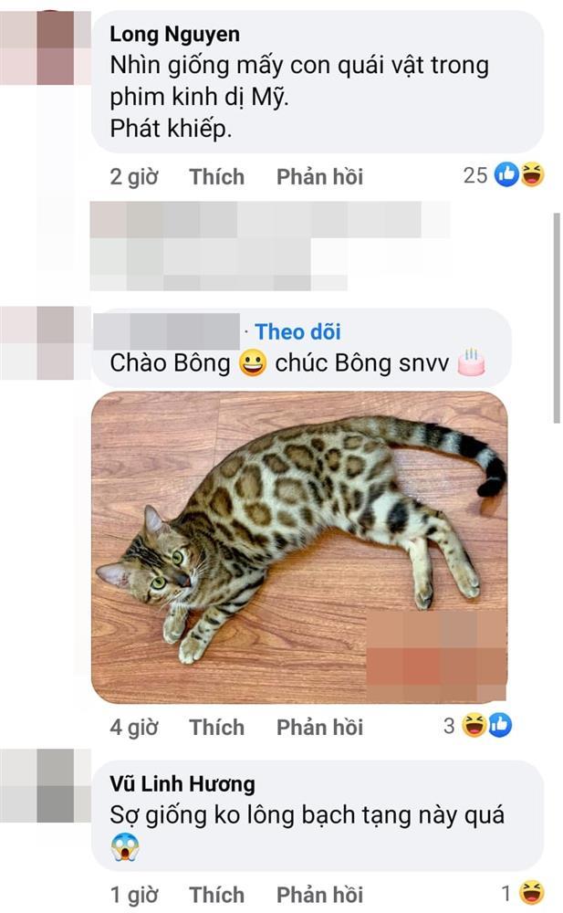 Lệ Quyên chửi sốc khi thú cưng bị chê như quái vật-5