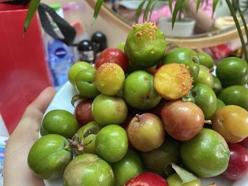 Đắt gấp nhiều lần, mận cơm đầu mùa vẫn hút khách-2