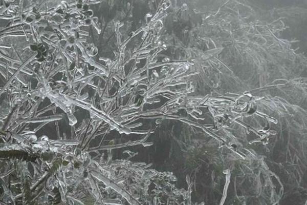 Băng giá dày đặc tạo nên kiệt tác nghệ thuật ở đỉnh Mẫu Sơn-8