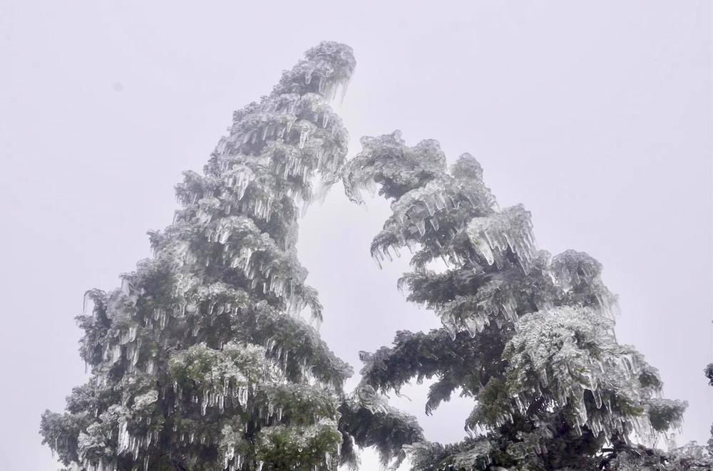 Băng giá dày đặc tạo nên kiệt tác nghệ thuật ở đỉnh Mẫu Sơn-2