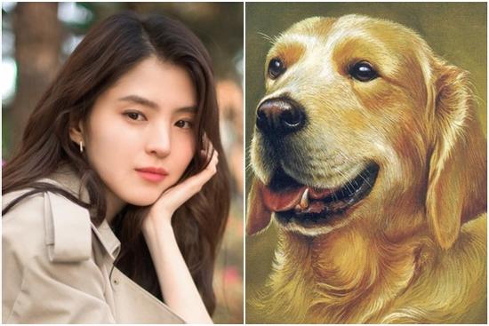 4 con giáp Thần Phật che chở, hóa hung thành cát, viên mãn cả đời