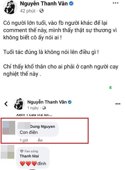 Bà bầu Vân Hugo phản ứng khi bị người lớn tuổi chửi-2