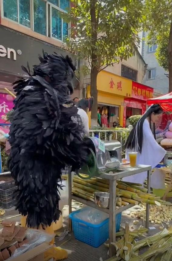 Dương Quá, Cô Cô và Thần Điêu đại hiệp bán nước mía kiếm sống-2