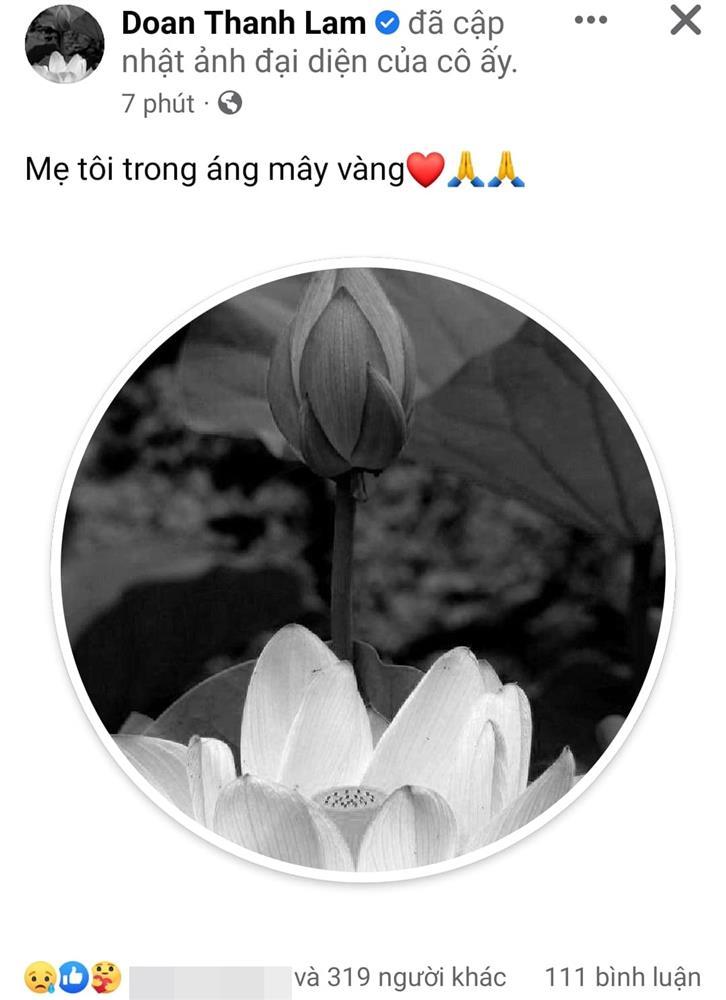 Diva Thanh Lam nhận tin dữ đầu năm, dàn sao Việt chia buồn-2