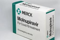 Ai không nên sử dụng thuốc Molnupiravir?