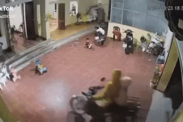 Clip: Đang được vuốt ve, chú bò nổi điên đá văng cô gái ra đường-1