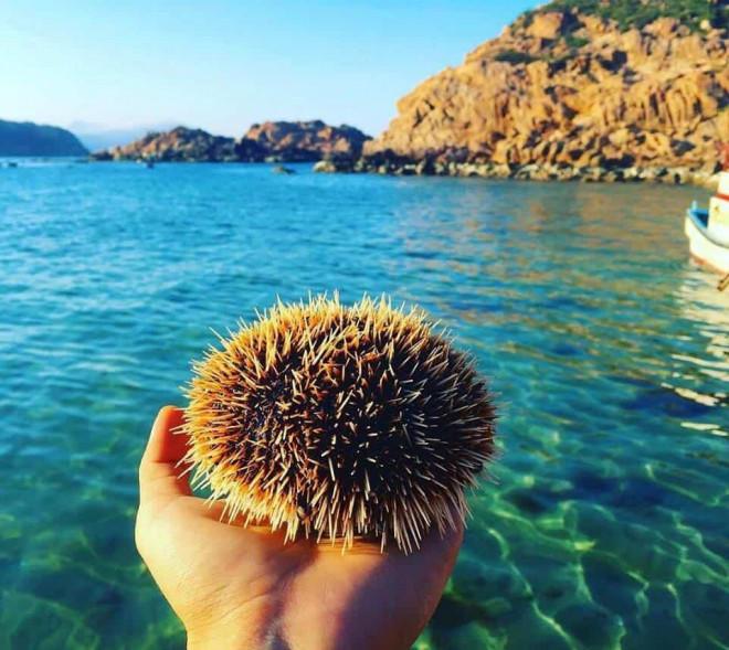 Hít thở vitamin sea, lặn ngắm san hô, chinh phục núi đá Hòn Khô-4