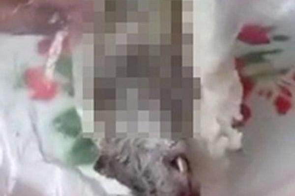 Loài hôi hám ngoài đồng giờ thành đặc sản giá 300.000 đồng/kg-11