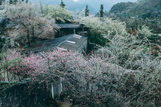 Nền nhiệt miền Bắc tăng dần nhưng giá rét vẫn chưa kết thúc