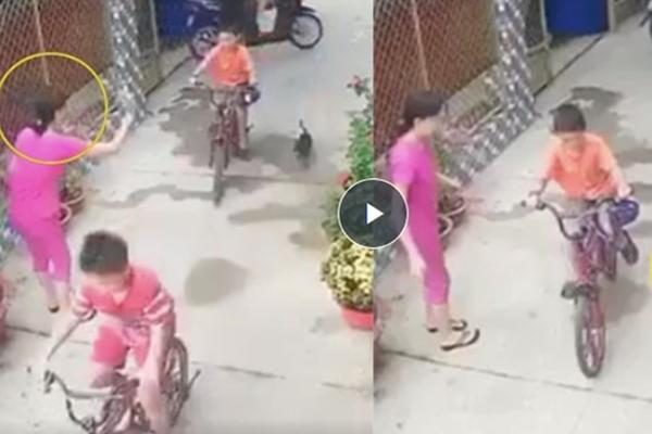 Clip: Người đàn ông đang lướt sóng bị chó Pitbull tấn công kinh hoàng-2