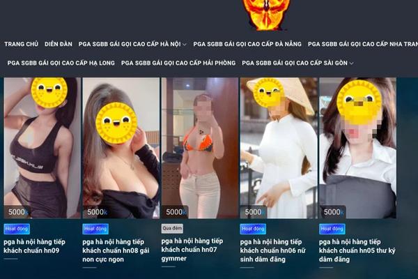 Triệt phá đường dây môi giới mại dâm sex tour 15 triệu đồng/ngày-1