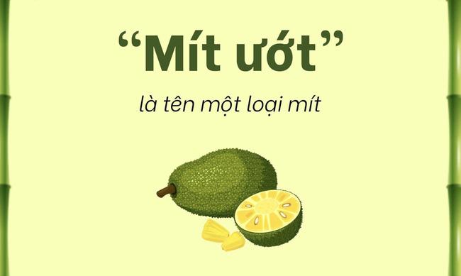 Câu đố Tiếng Việt Vì sao người hay khóc gọi là mít ướt?, 99% tắc tịt-1