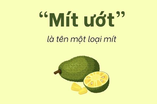 Câu đố Tiếng Việt 'Vì sao người hay khóc gọi là mít ướt?', 99% tắc tịt