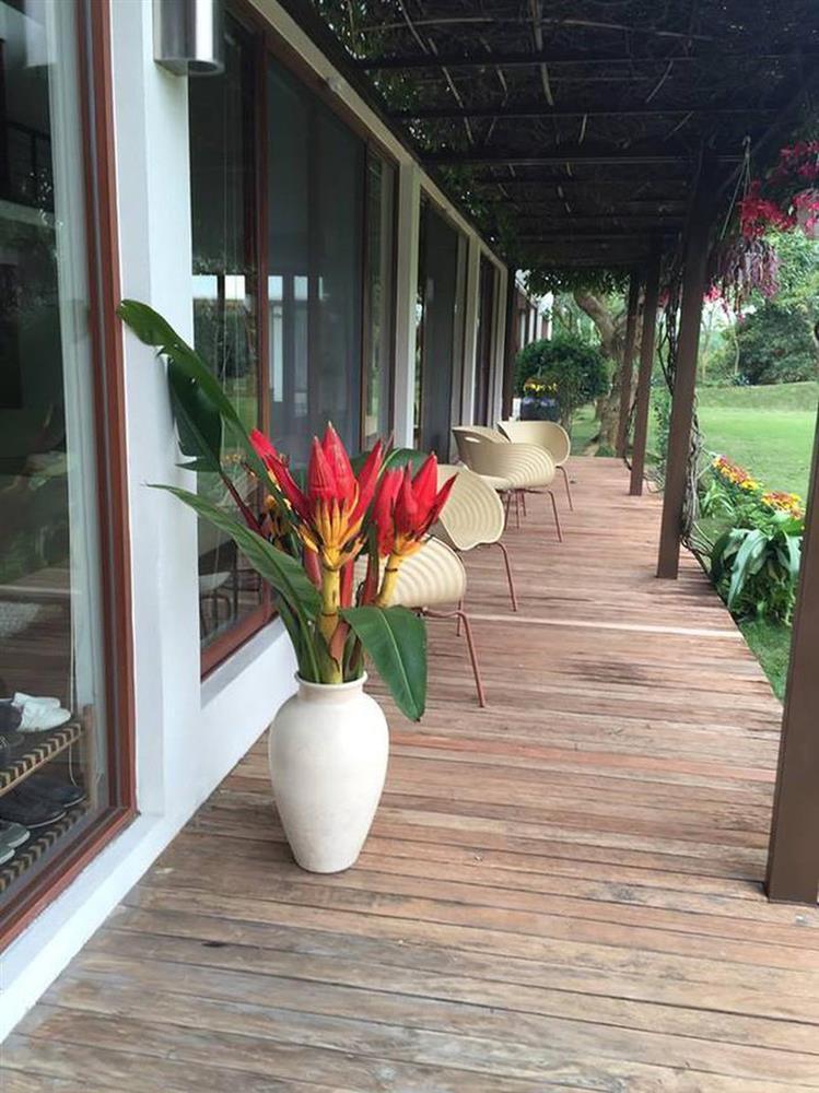 Diva Mỹ Linh tuổi 47: Viên mãn bên chồng con ở biệt phủ 10.000m2-6