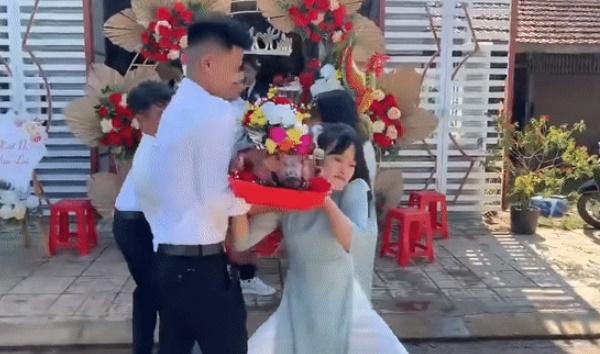 Cô gái bê tráp giành vác mâm heo quay trong đám hỏi-1