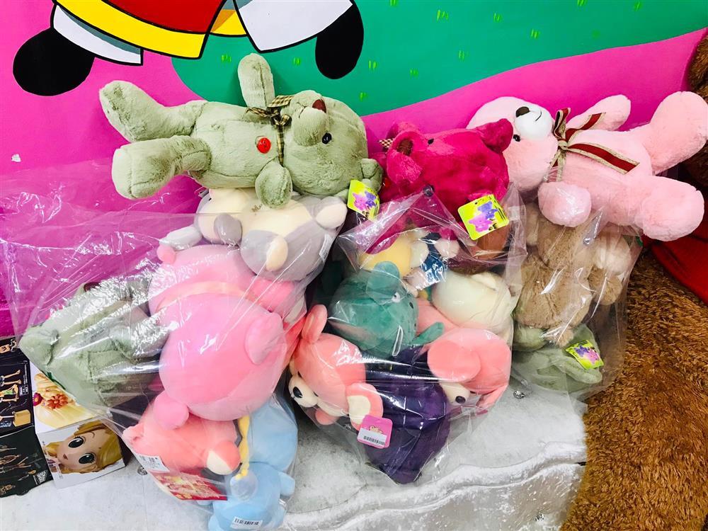 Vợ chồng 9x dành cả thanh xuân càn quét các loại máy gắp thú bông-5