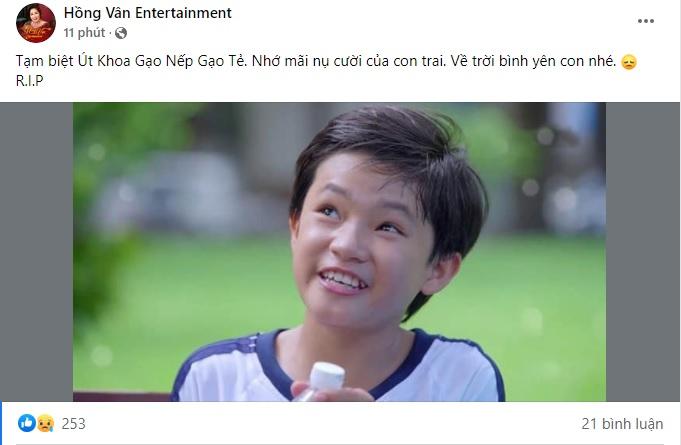 Dàn sao Việt bàng hoàng khi Bảo Bảo Gạo Nếp Gạo Tẻ tử nạn-3