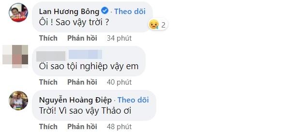Dàn sao Việt bàng hoàng khi Bảo Bảo Gạo Nếp Gạo Tẻ tử nạn-6