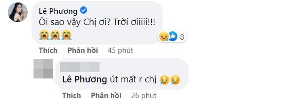 Dàn sao Việt bàng hoàng khi Bảo Bảo Gạo Nếp Gạo Tẻ tử nạn-7