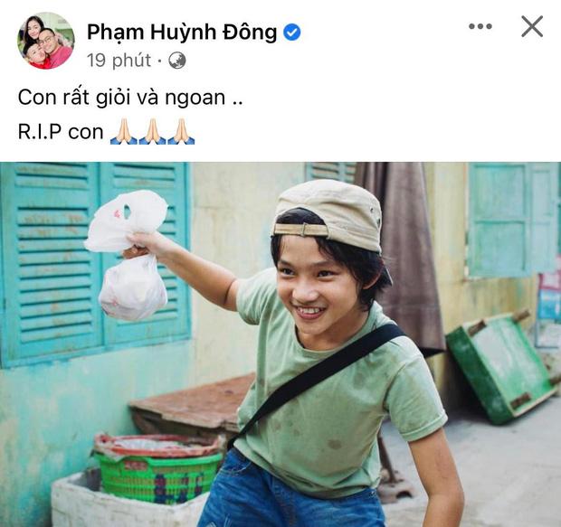 Dàn sao Việt bàng hoàng khi Bảo Bảo Gạo Nếp Gạo Tẻ tử nạn-4