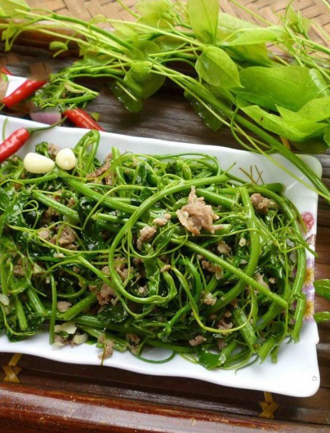 Giật mình loại lá kịch độc được chế biến thành đặc sản Tây Bắc-3