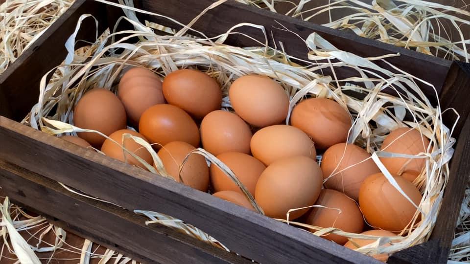 9x bật mí cách làm trứng muối siêu ngon tại nhà thơm ngào ngạt-3