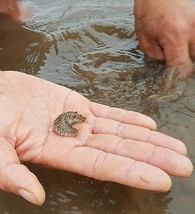 Rich kids Tiên Nguyễn cảnh báo sinh vật cần tránh xa khi tắm biển-4