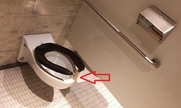 Tại sao nên đặt lõi giấy ở ghế bồn cầu khi sử dụng nhà vệ sinh công cộng?-1