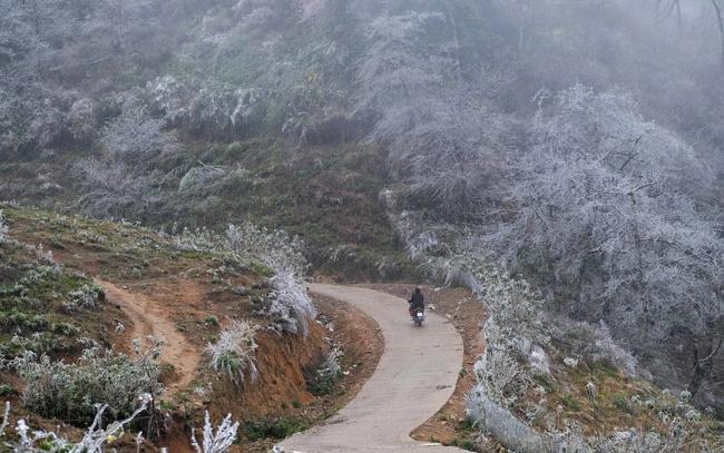 Miền Bắc vẫn còn xuất hiện các đợt rét đậm vào tháng 3-1