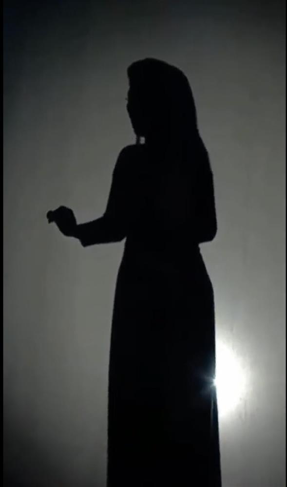 Trizzie Phương Trinh hóa thân cố ca sĩ Phi Nhung giống đến giật mình-3