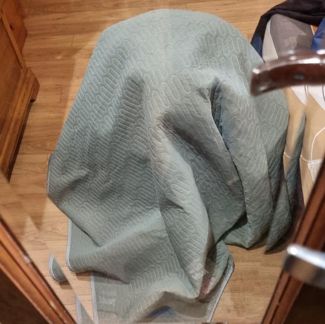 Nghệ sĩ Xuân Bắc nhiễm Covid-19-4