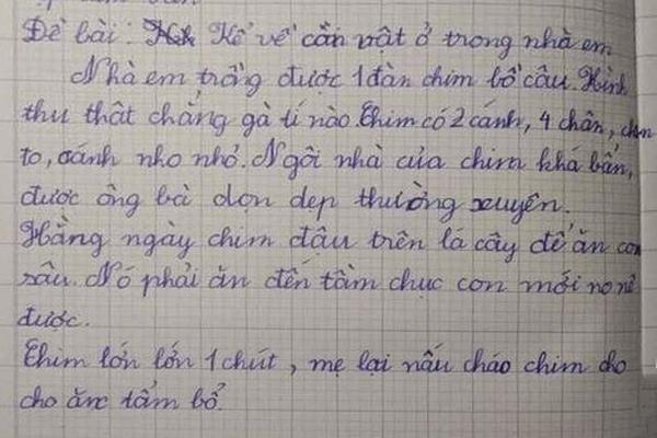 Bài văn nói xấu cô giáo, phụ huynh đọc ngượng chín mặt-6
