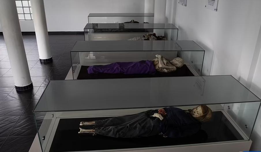 Xác ướp tự nhiên 100 năm hiếm thấy ở Colombia-3