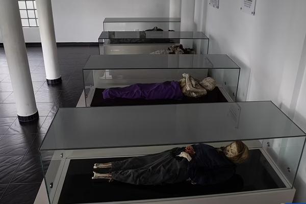 Món thịt hầm từ xác ướp bò rừng đóng băng-3