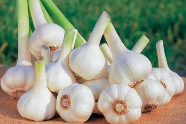 Đốt vài củ tỏi để giữa nhà, công dụng tuyệt vời ai cũng muốn làm theo-2